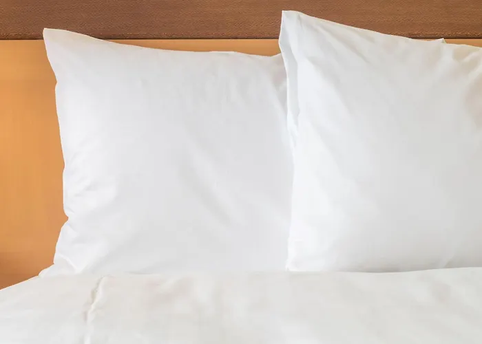 Hotel Crowne Plaza Duesseldorf - By Ihg 4*